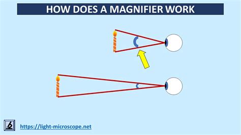 How does the magnifier work