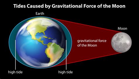 How does the moon cause tides. Learn how gravity is the major force that creates tides on the Earth, and how the sun's gravitational attraction is reduced by 390 times compared to the moon's. The sun's tide-generating force is about half that of the moon, and the moon is the dominant force affecting the Earth's tides. 
