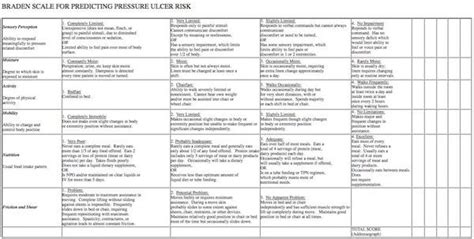 How does the use of the Braden Scale help in the prevention of bed