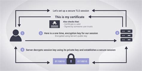 How does tls certificate work.  What does TLS A TLS certificate is issued by a certif...