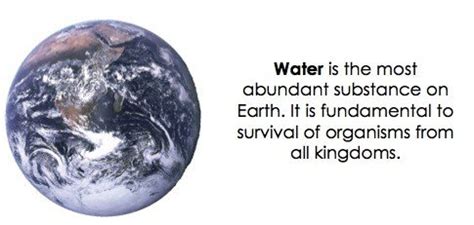 How does water support life