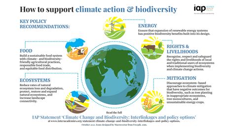 How ecosystems support biodiversity