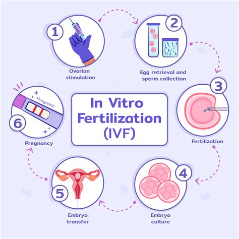 How effective is in vitro fertilization