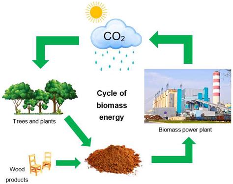 How efficient is biomass