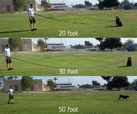 This article will show you how far 500 feet is 