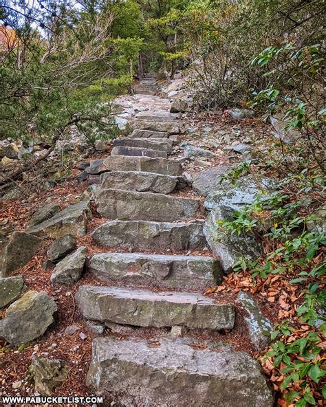 How far is ten thousand steps