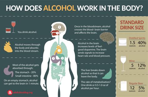 So what exactly gives us that tipsy, drunk feeling? Your liver can only metabolize so much alcohol at a time, which means that alcohol can travel through the bloodstream to other organs,.... 