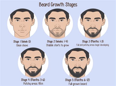 How fast do beards grow