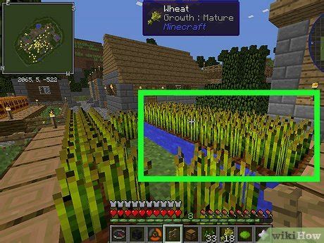How fast does wheat grow in minecraft