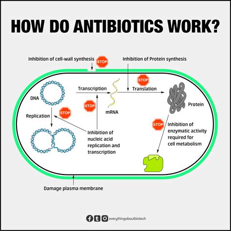 How fast should antibiotics work