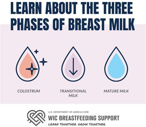 How fast should breast milk flow