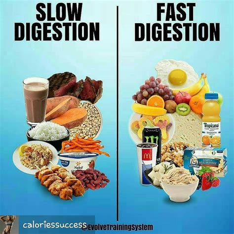 How fast should food digest