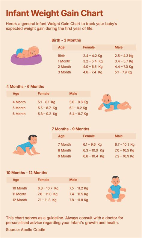 How fast should infants gain weight