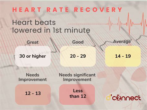 How fast should your heartbeat a minute