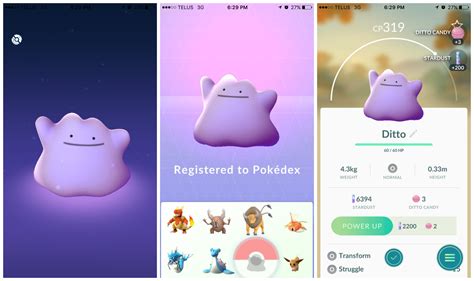 How find a ditto in pokemon go