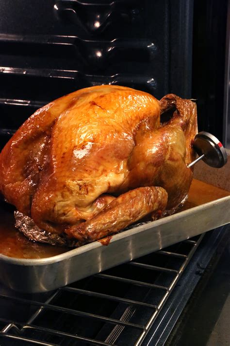 3. Submerge the turkey. Arrange a turkey-sized brining bag in a large roasting pan, folding back the opening to form a collar. Place the turkey (giblets removed) into the brining bag and pour the ...