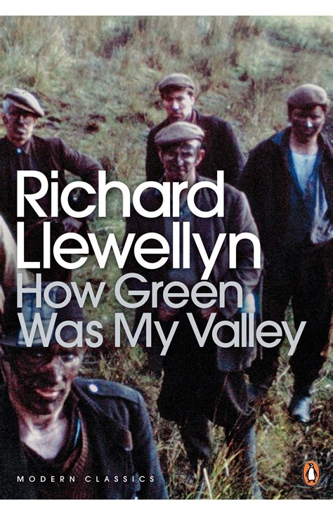 How green was my valley book. - De la irresponsabilidad a la racionalidad.