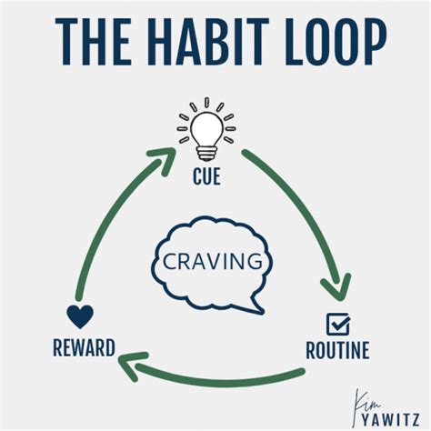 How habits form MIT Spotlight Archive