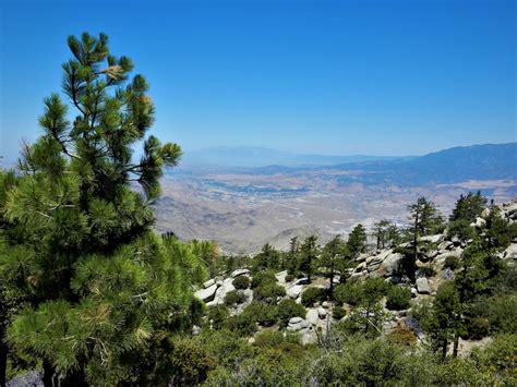 How high is black mountain