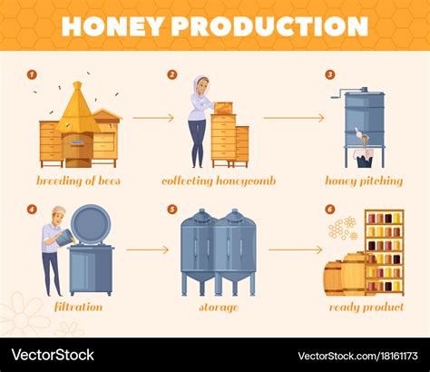 How honey is made flowchart