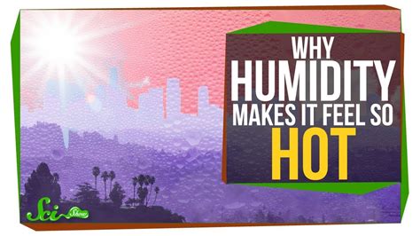 How humidity can make it feel hotter than it is