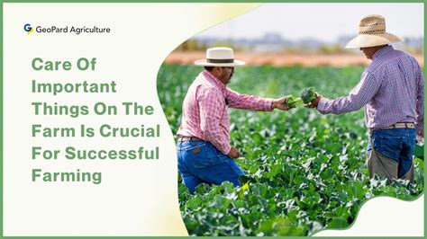 How important is farming