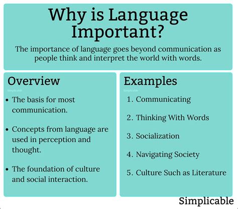 How important language is