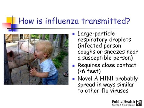 How influenza is transmitted