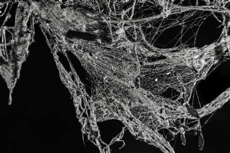 How is a cobweb made