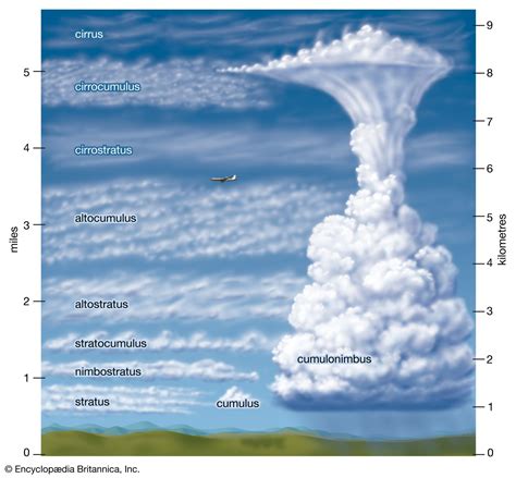 How is a cumulonimbus cloud formed