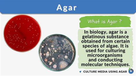 How is agar agar made