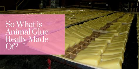 How is animal glue made