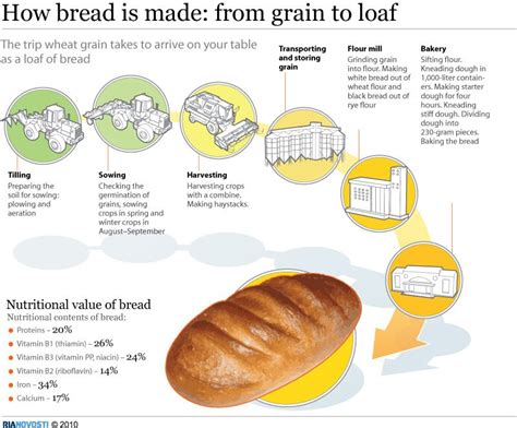 Grain kernels are made up of three parts: the fiber-dense bran, the nutrient-rich germ, and the starchy endosperm. White bread is made from wheat kernels that have been processed to remove the bran and the germ, leaving only the endosperm. This results in a lighter texture and flavor—and fewer nutrients. 02of 07.. 