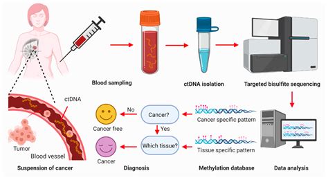How is cancer detected in blood work