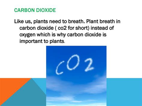 How is carbon dioxide useful