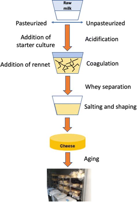 How is cheese made