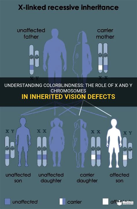 How is color blindness passed down