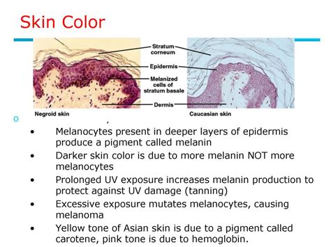 How is color determined