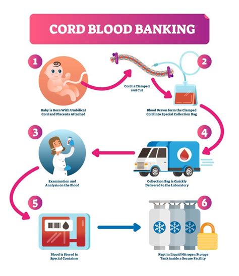 How is cord blood collected