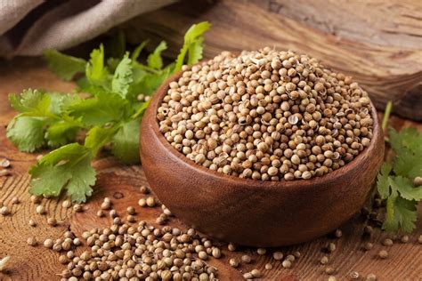 How is coriander used in cooking