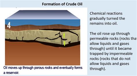 How is crude formed