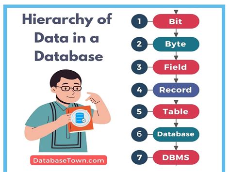 How is data organized in a database