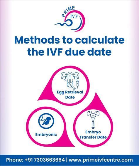 How is due date calculated with ivf