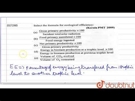 How is ecological efficiency calculated