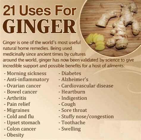 How is ginger used