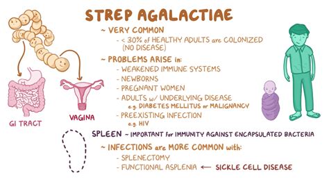 How is group b strep transmitted