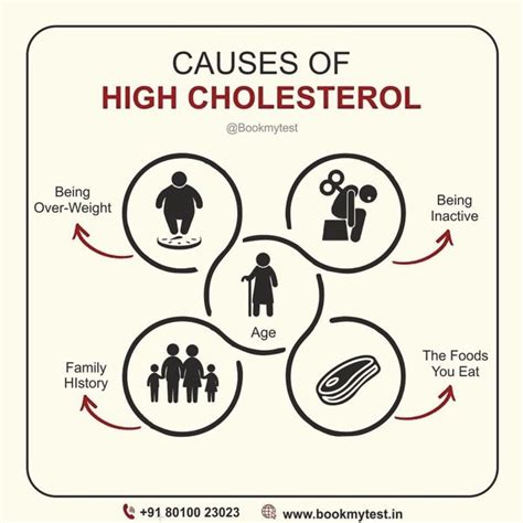 How is high cholesterol causes