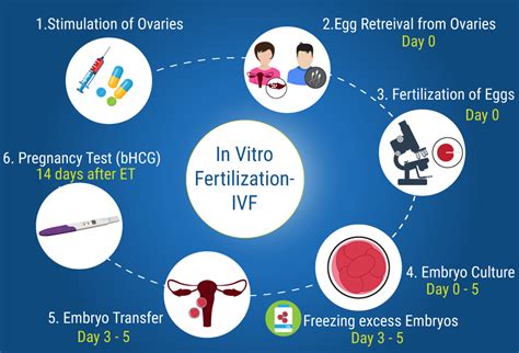 How is ivf treatment done