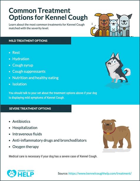 How is kennel cough treated