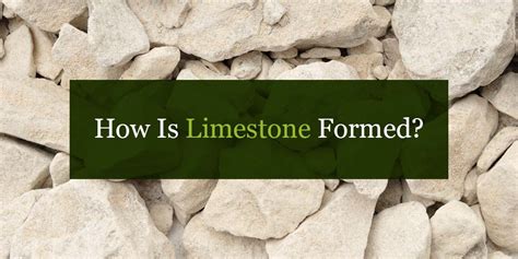 How is limestone made. Things To Know About How is limestone made. 